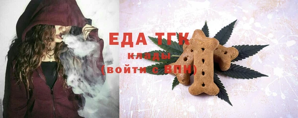 индика Сатка