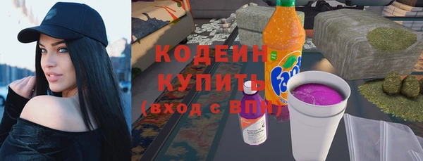 индика Сатка