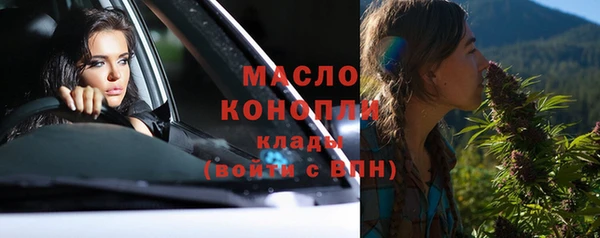 индика Сатка