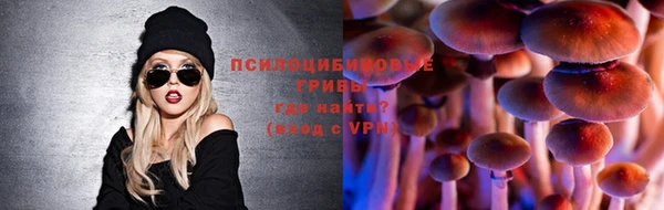 прущие грибы Абдулино