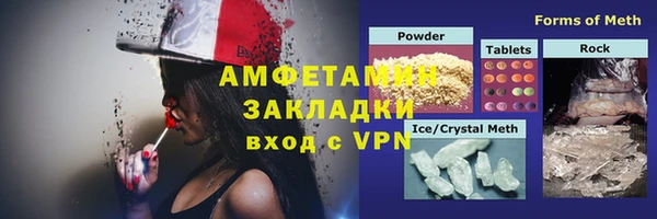 индика Сатка