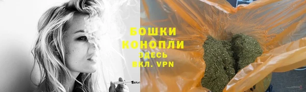 стафф Дубовка