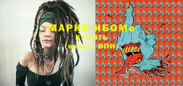 индика Сатка