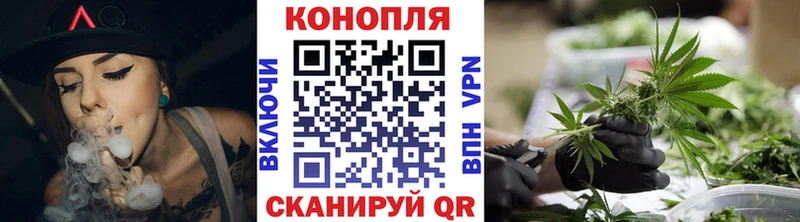 Бошки Шишки план  Невельск 